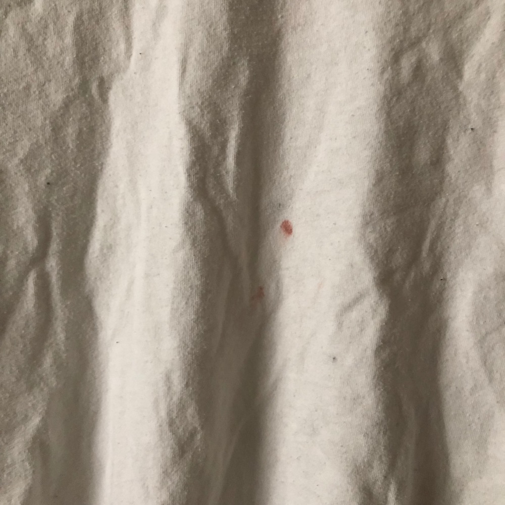 Brandy Melville Paris Embroidered Rose Graphic tee - Picture 3 of 3